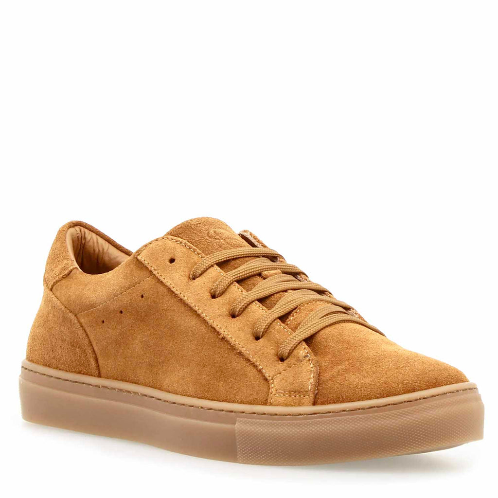 Rozgul Calze alte da uomo senza cuciture | 6 paia | 100% cotone | Comfort Fit | Inodore | Presa facile | Collegate a mano per dita sensibili | Taglia